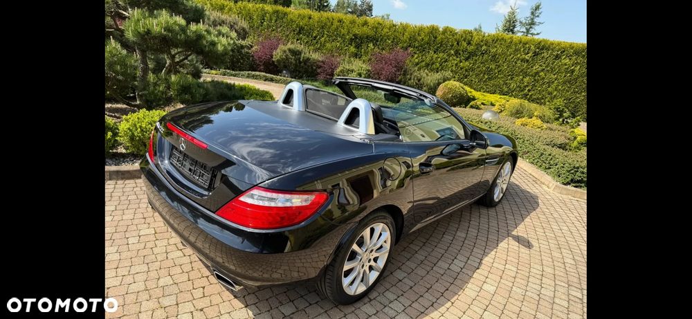 Mercedes-Benz SLK - 19