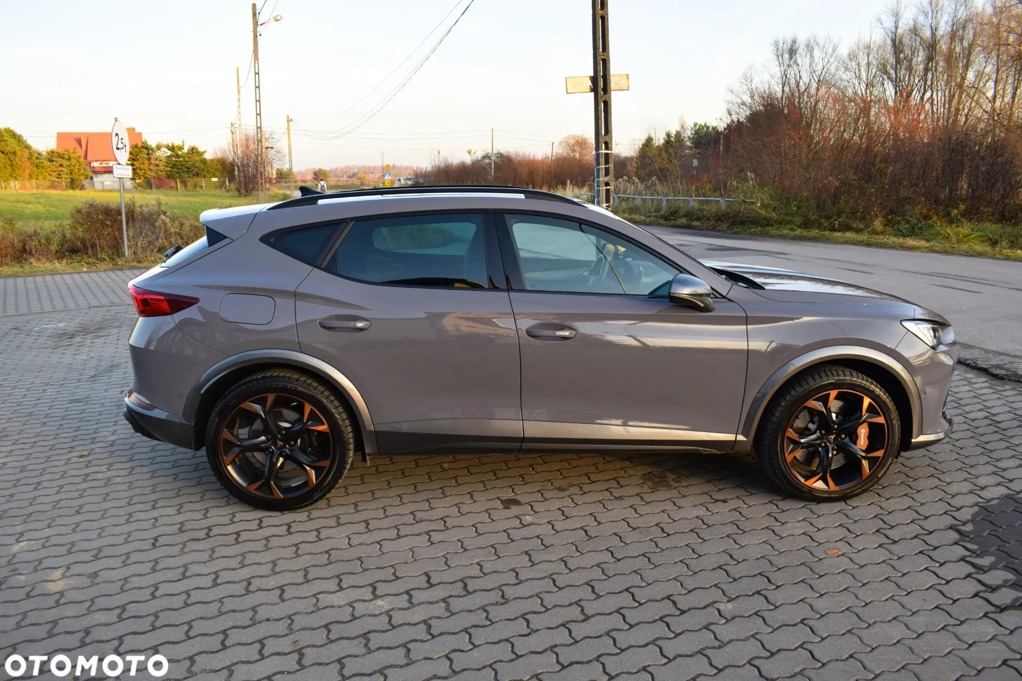 Cupra Formentor - 16