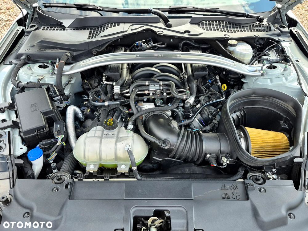 Ford Mustang 5.0 V8 Mach 1 - 23