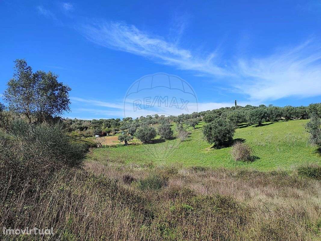 Terreno  para venda - Grande imagem: 2/16