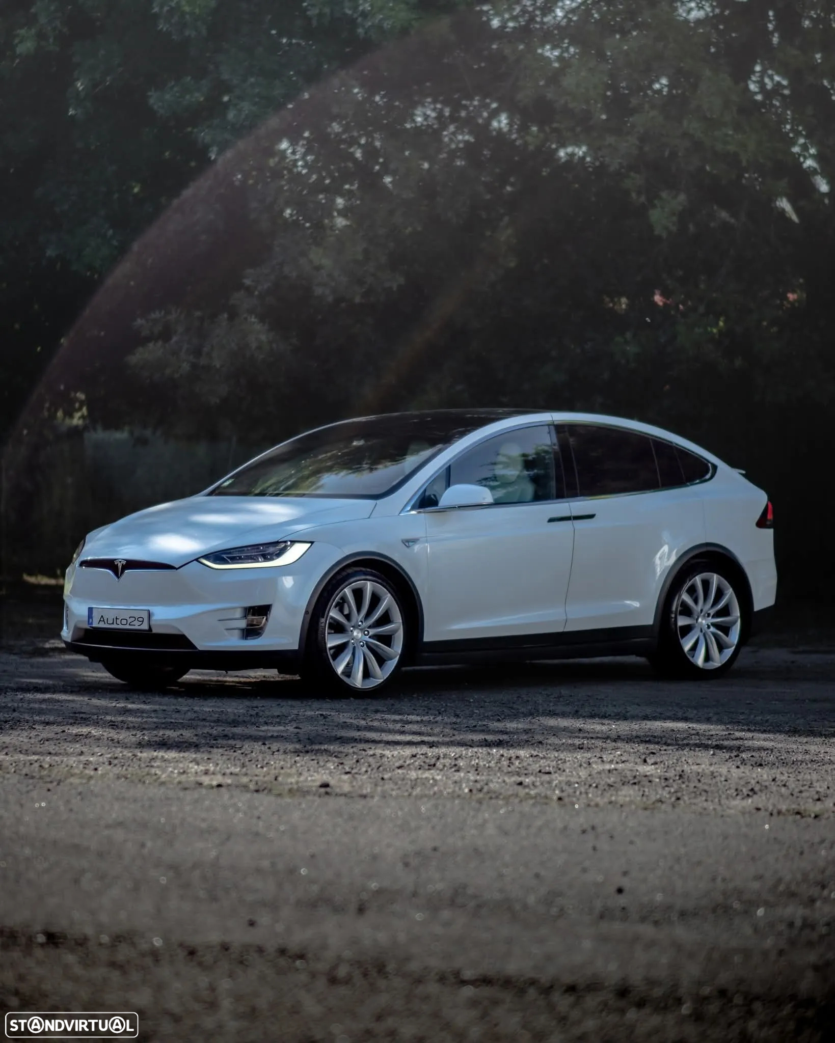 Tesla Model X 90D - 11