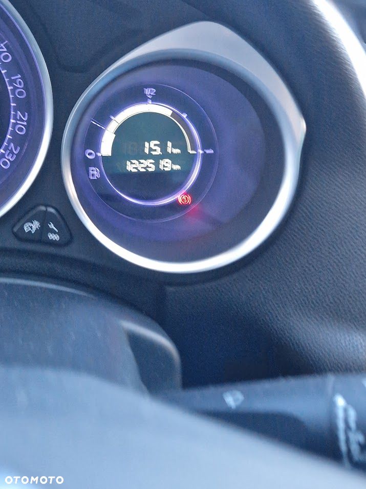 DS Automobiles DS 4 - 19