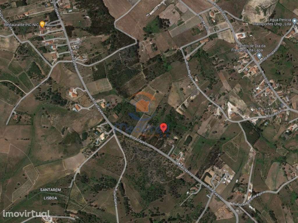 Terreno 12.000 m2 | Lapa, Cartaxo - Grande imagem: 3/4