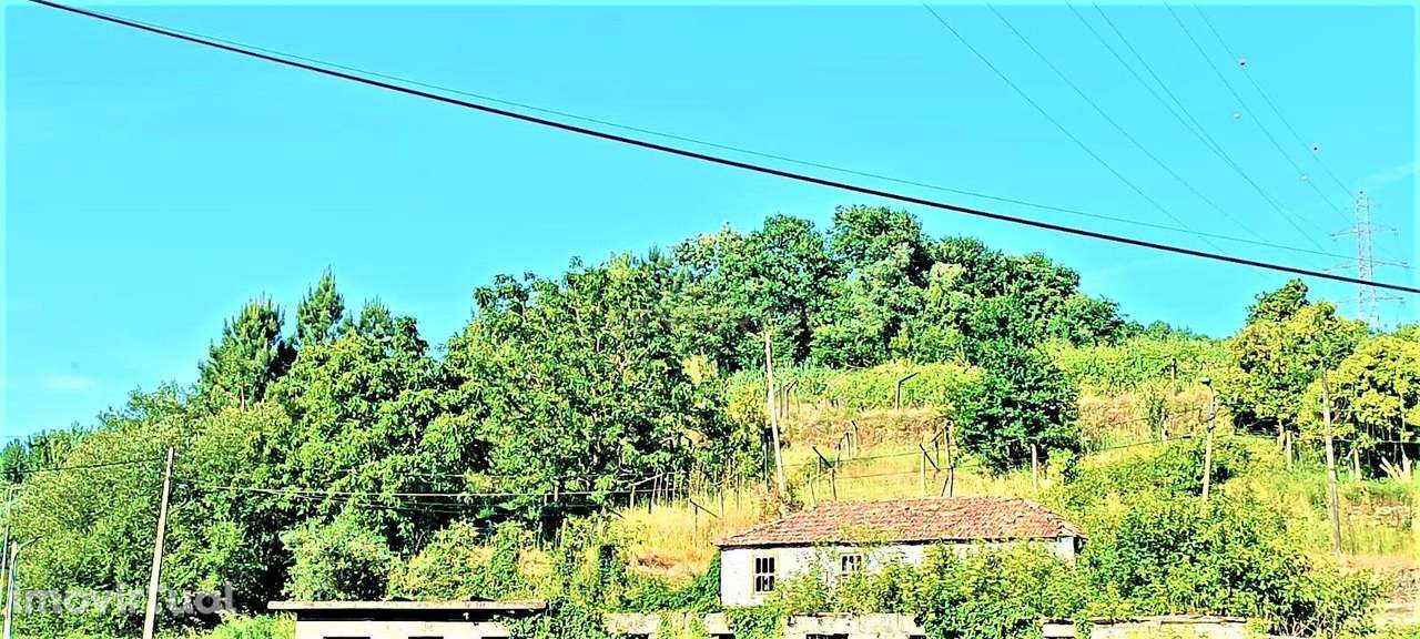 Terreno de construção e agrícola  com  água  e  grande moradia no cent - Grande imagem: 4/26