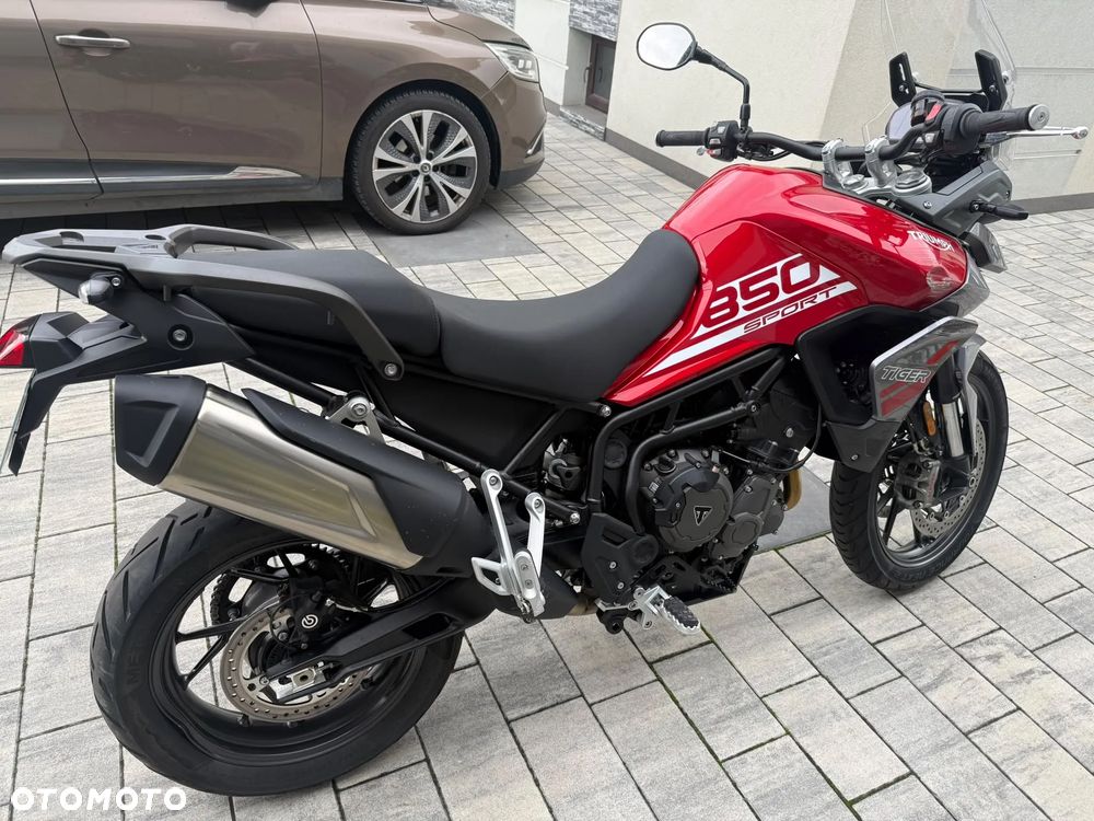 Triumph Tiger - 19