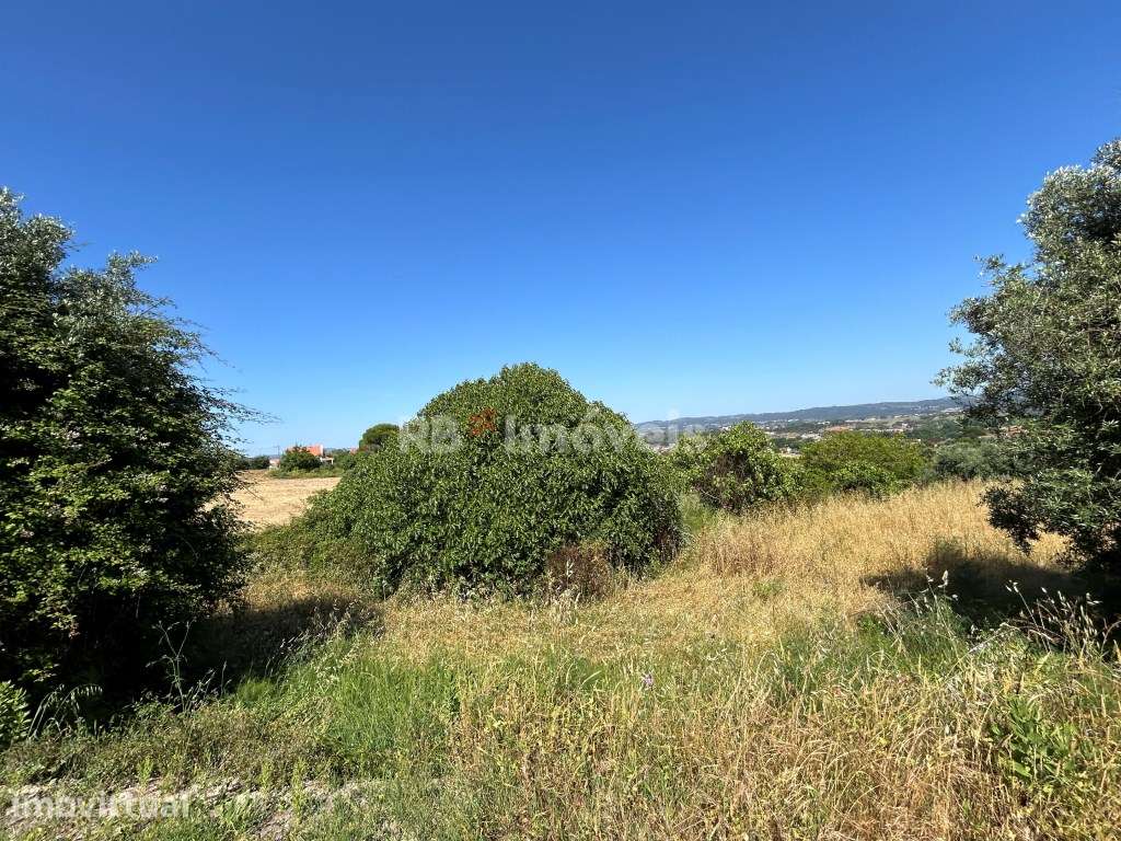 Lote de terreno urbano com 1502 m2 - Tomar - Grande imagem: 4/31