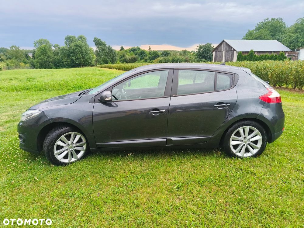 Renault Megane 1.6 16V Limited - 10