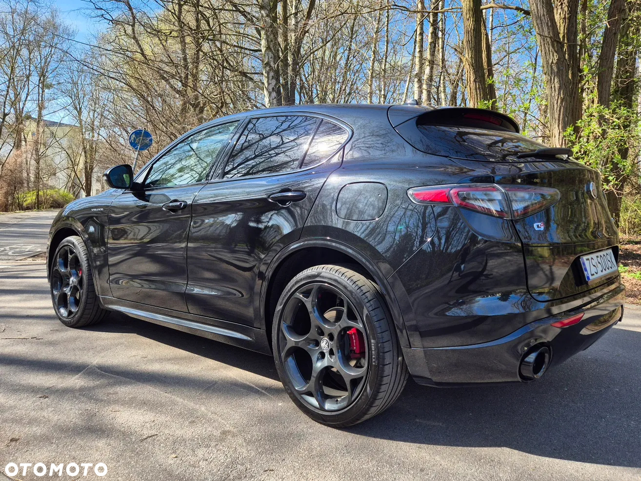Alfa Romeo Stelvio 2.2 Diesel 16V AT8 Q4 Veloce Ti - 6