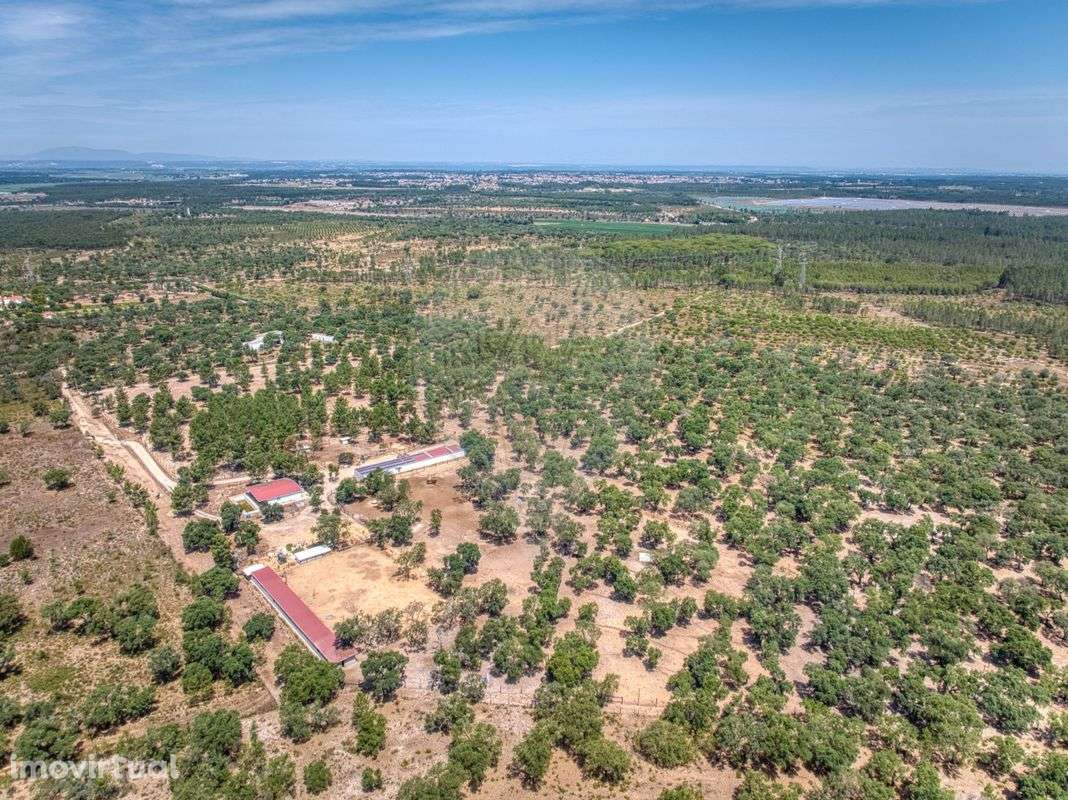 Terreno  para venda - Grande imagem: 4/49