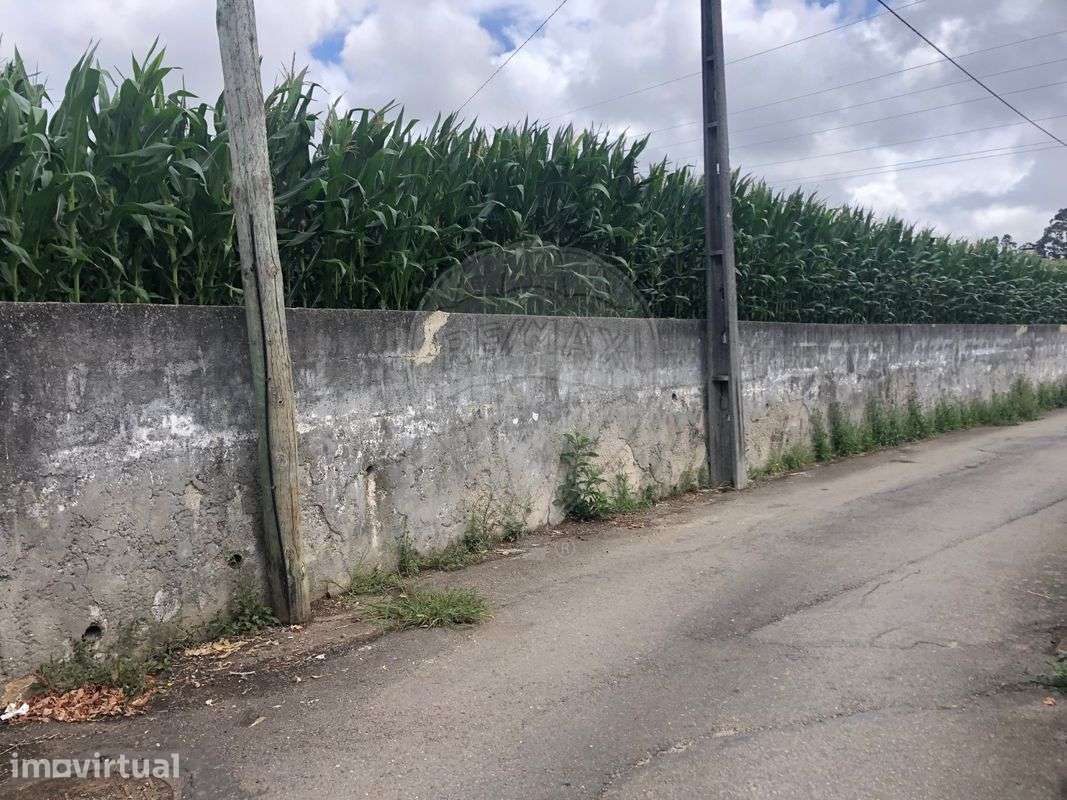 Terreno  para venda - Grande imagem: 2/5