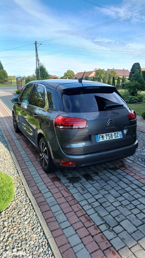 Citroen C4 Spacetourer 2019 photo 3