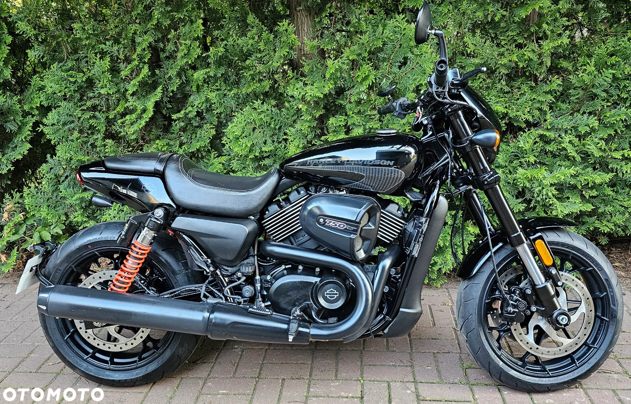 Harley-Davidson Street Rod XG 750A - 2