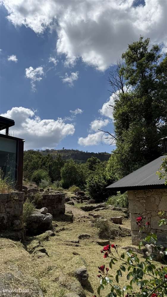 Moradia Isolada T3 Venda em Louriçal do Campo,Castelo Branco - Grande imagem: 2/60