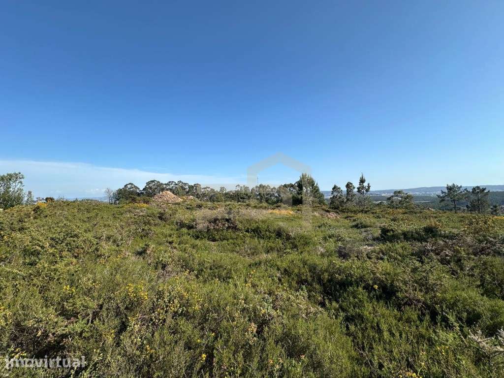 Vende-se terreno industrial em Vilarinho das Cambas, com 9500 m2. - Grande imagem: 4/8