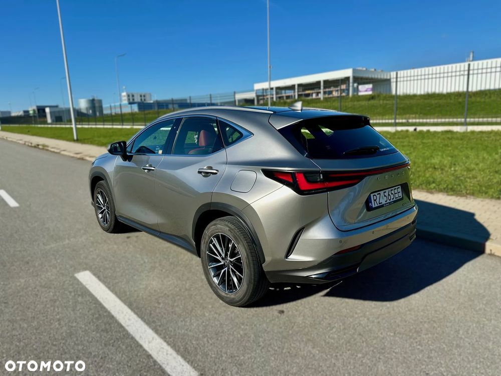 Lexus NX - 2
