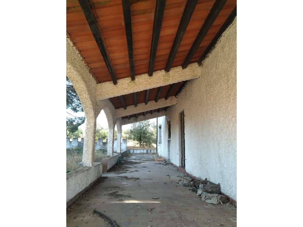 Terreno Urbano com Ruína e Grande Potencial | Montijo | Pegões - Grande imagem: 4/25