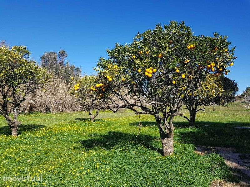 Terreno urbano albufeira - Grande imagem: 3/5