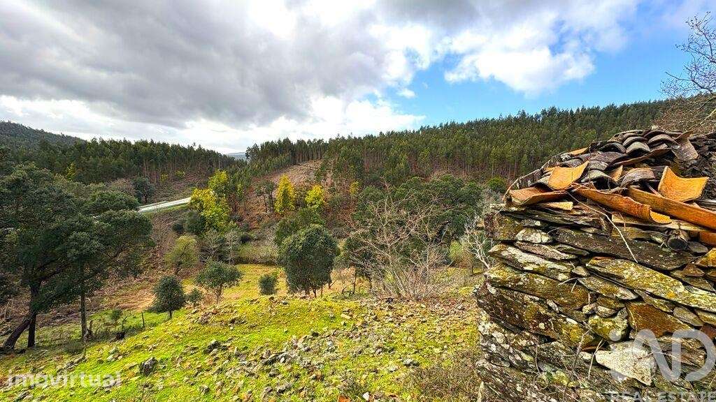 Casa / Villa T3 em Campelo de 134,00 m2 - Grande imagem: 4/27