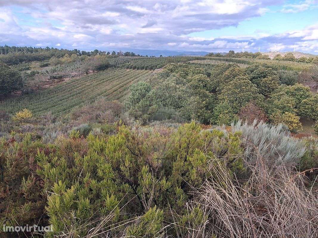 Terreno  para venda - Grande imagem: 4/14