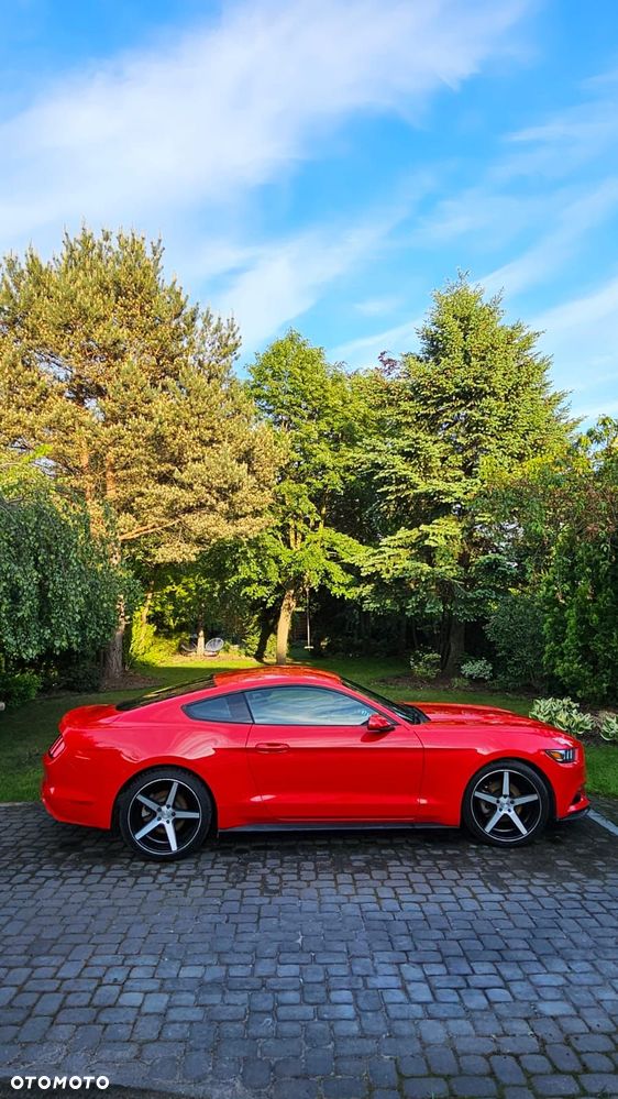 Ford Mustang 3.7 V6 - 11