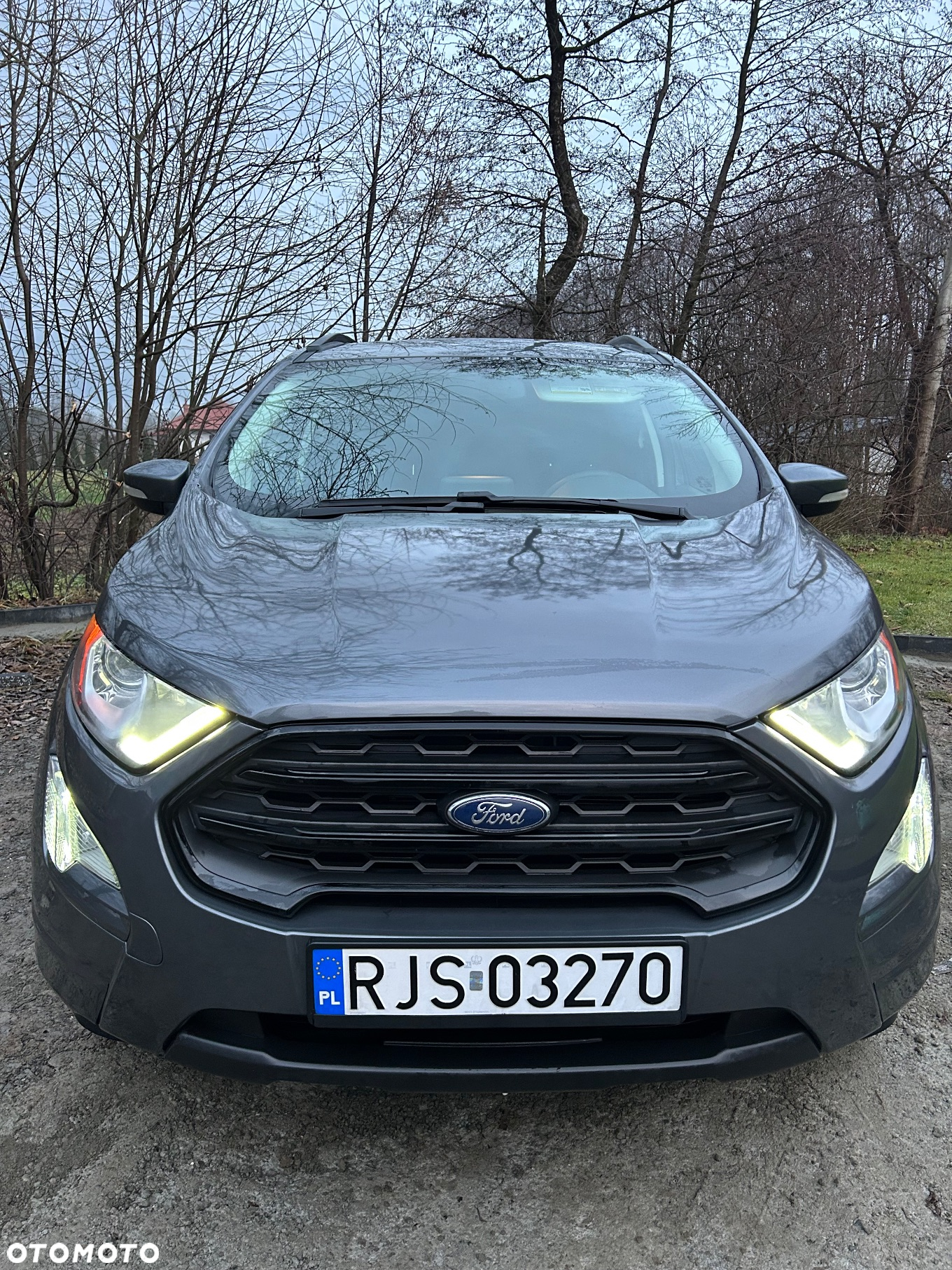 Ford EcoSport - 10