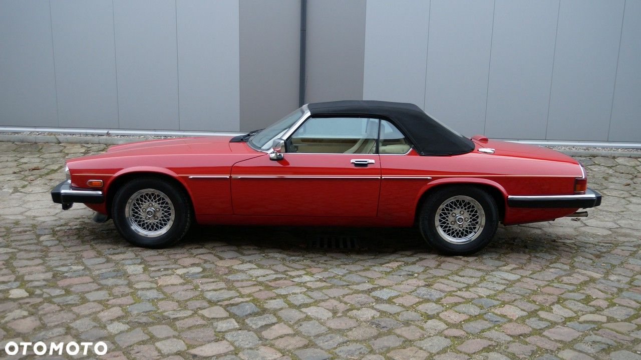 Jaguar XJS - 9