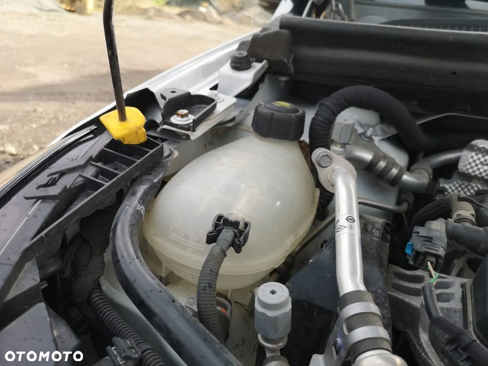 Renault Clio BLUE dCi 85 BUSINESS EDITION - 17