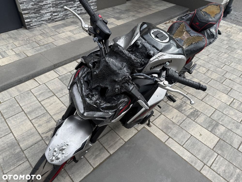 Kawasaki Z - 3