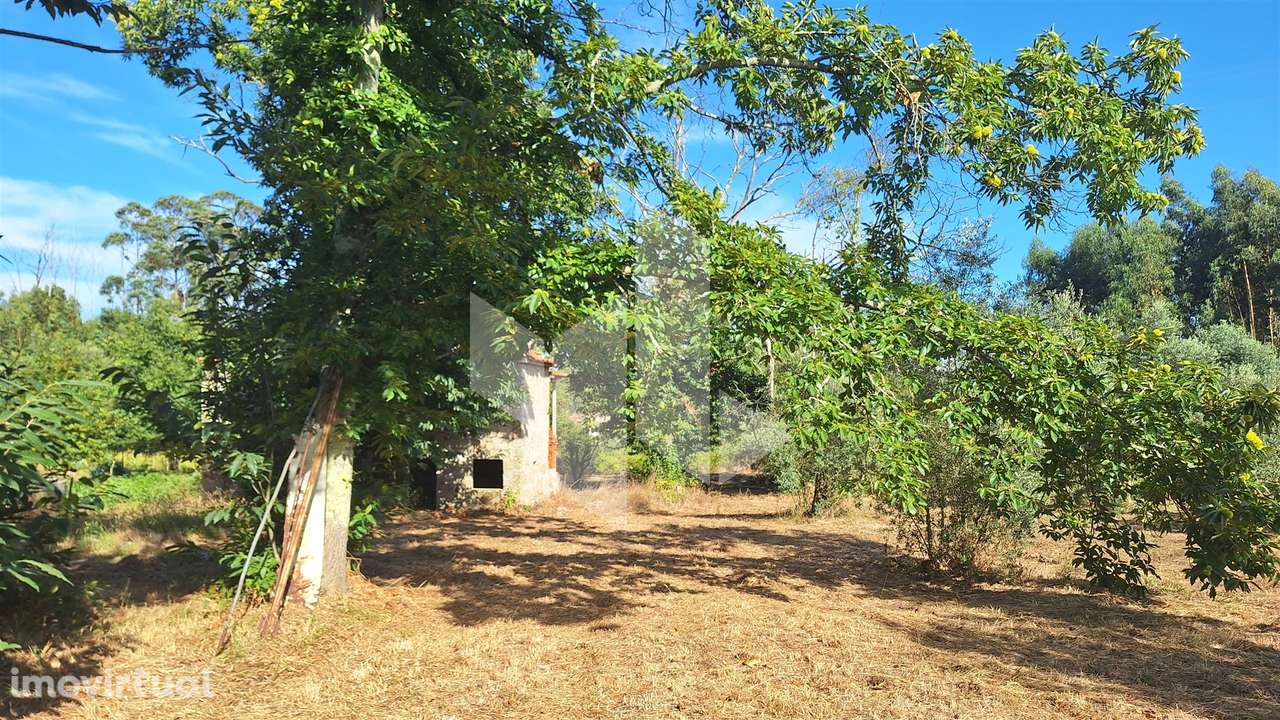 Moradia Isolada T0 Venda em Dardavaz,Tondela - Grande imagem: 4/7