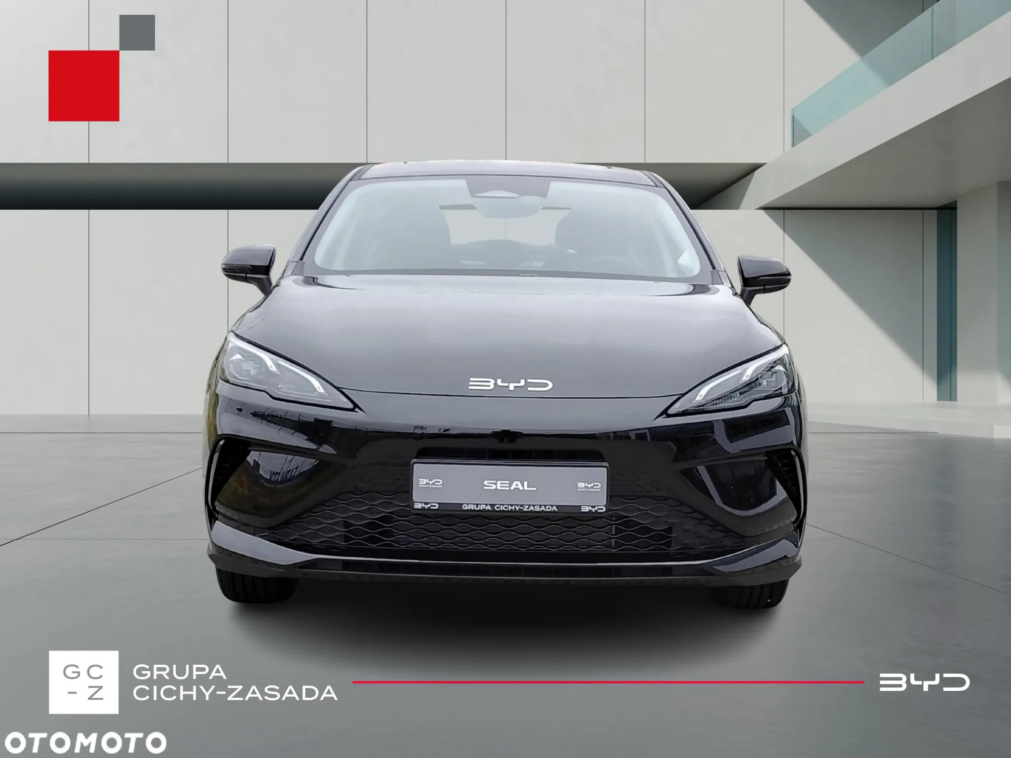 BYD Inny - 9