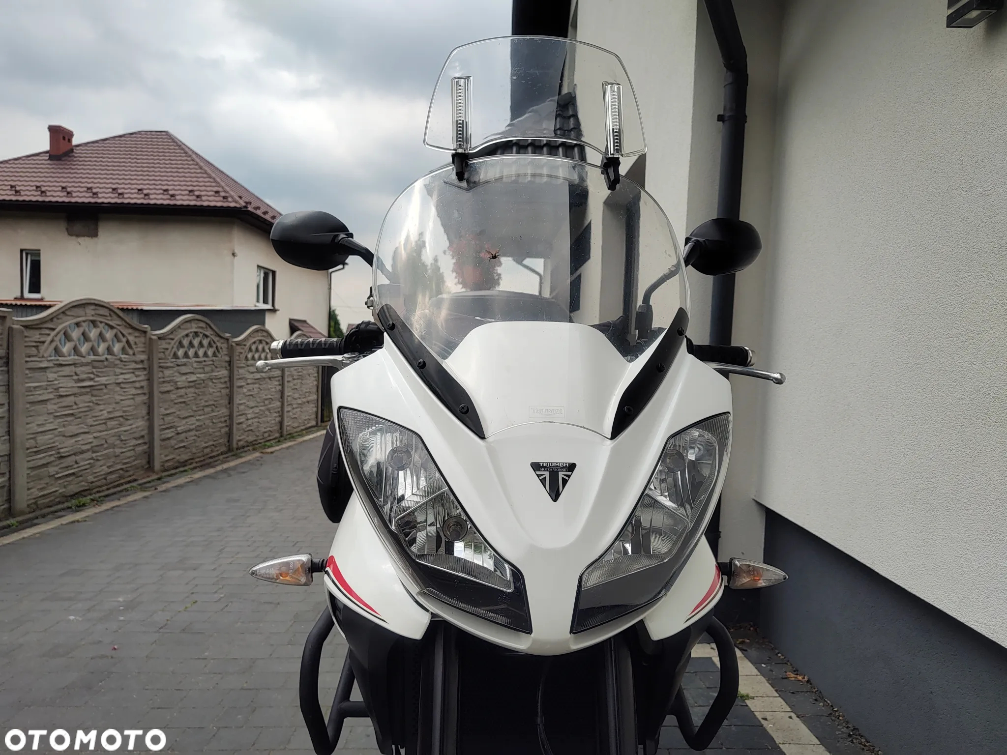 Triumph Tiger - 21