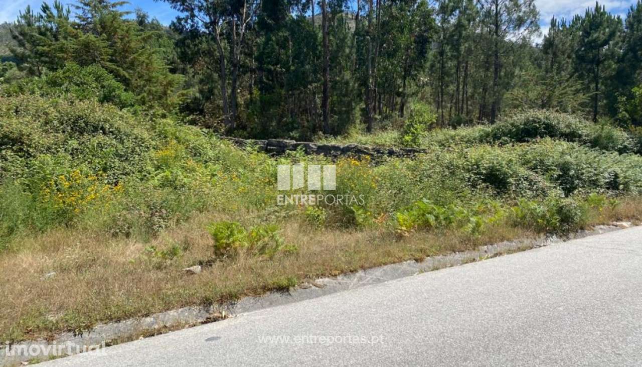 Venda Terreno com possibilidade de construção, São Cristovão de Mo - Grande imagem: 5/28