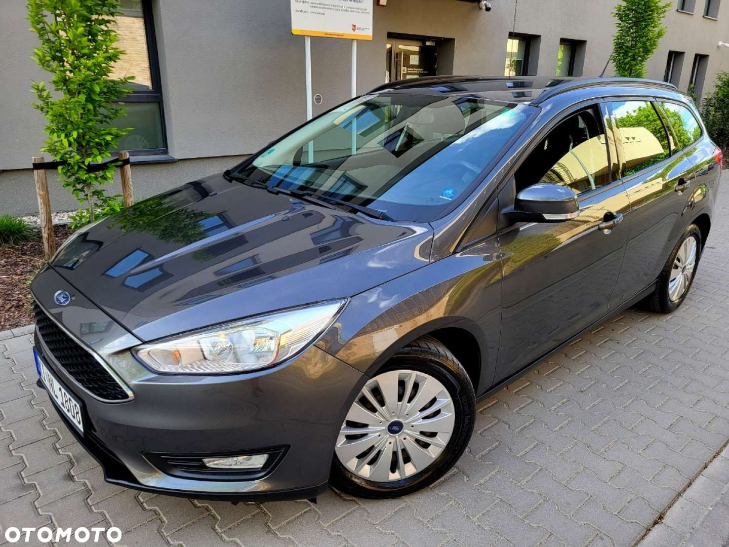 Ford Focus - 17