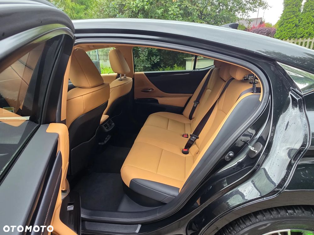 Lexus ES 300h Business Edition - 18