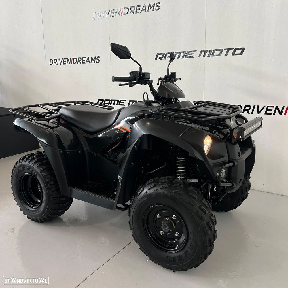 Kawasaki KVF 300 - 3