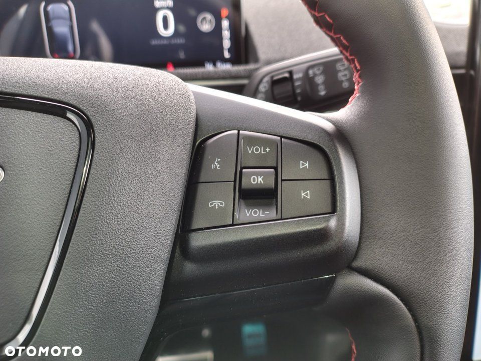 Ford Mustang Mach-E - 14