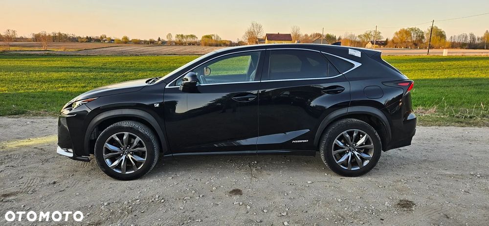 Lexus NX - 2