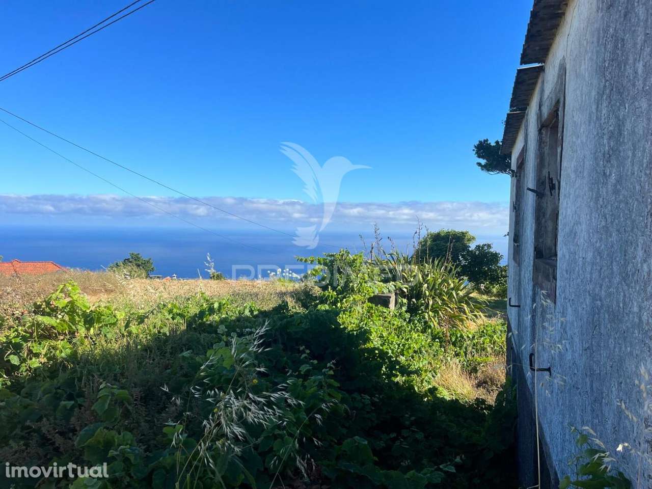 MORADIA E DOIS PALHEIRO AMBOS PARA RECUPERAR COM 1348M2 DE TERRENO... - Grande imagem: 2/13