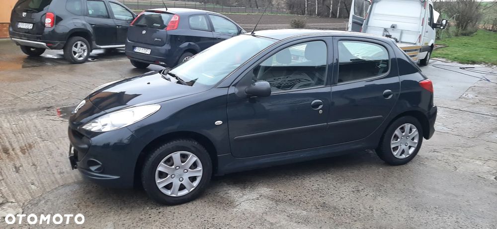 Peugeot 206 plus - 18