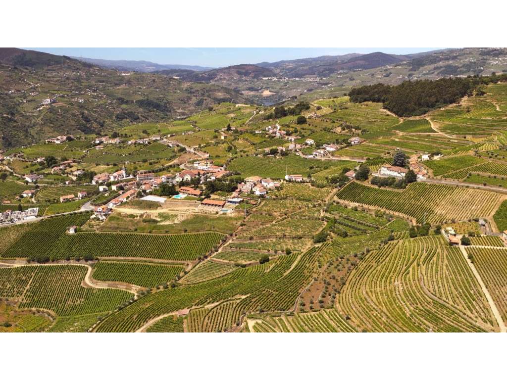 Quinta no Douro - Grande imagem: 5/8