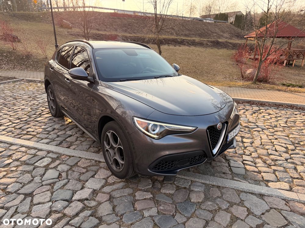 Alfa Romeo Stelvio 2.0 Turbo First Edition Q4 - 4