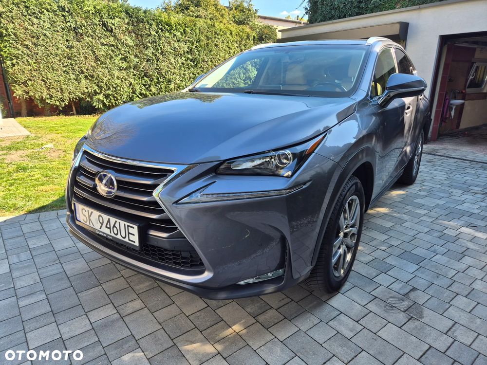 Lexus NX 300h Business Edition AWD - 9