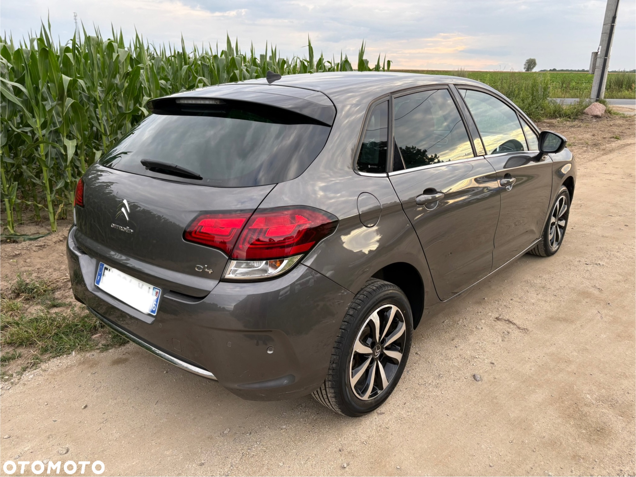 Citroën C4 BlueHDi 120 Stop&Start Shine - 9