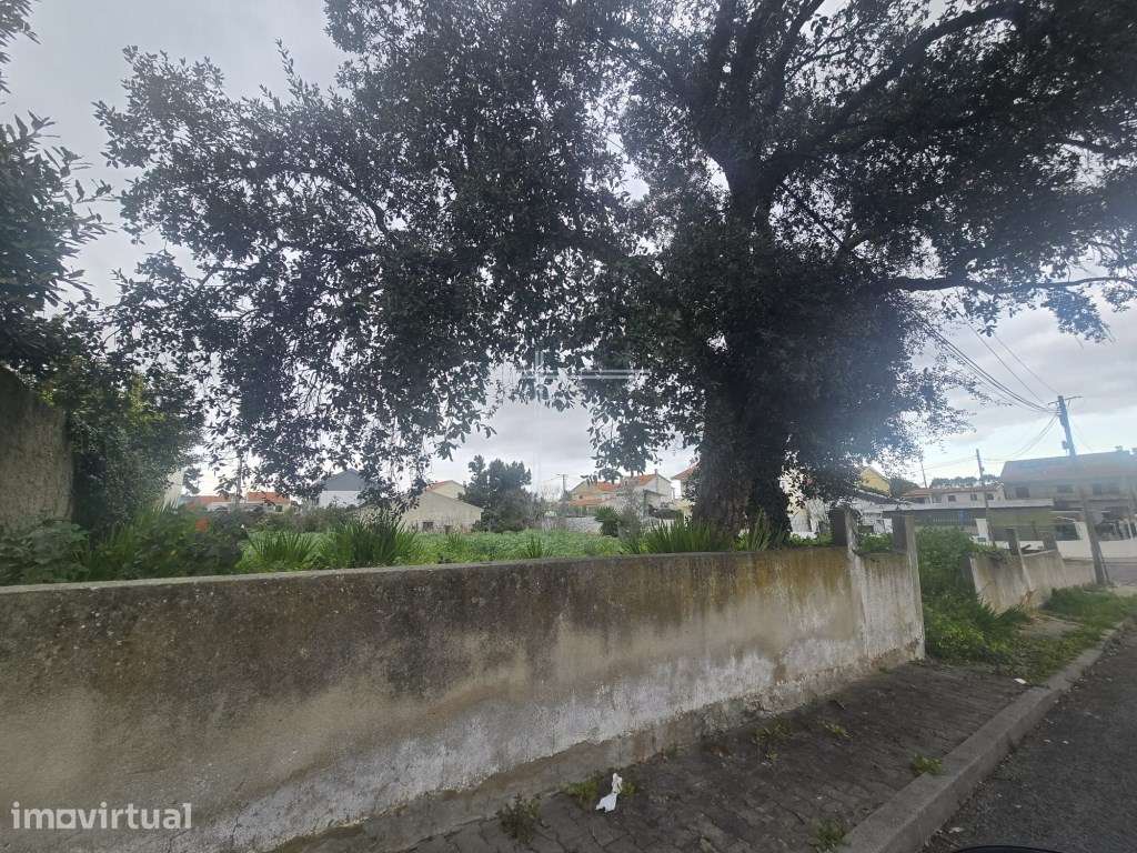 Terreno com 338m2 - Quinta da Queimada - Grande imagem: 5/10
