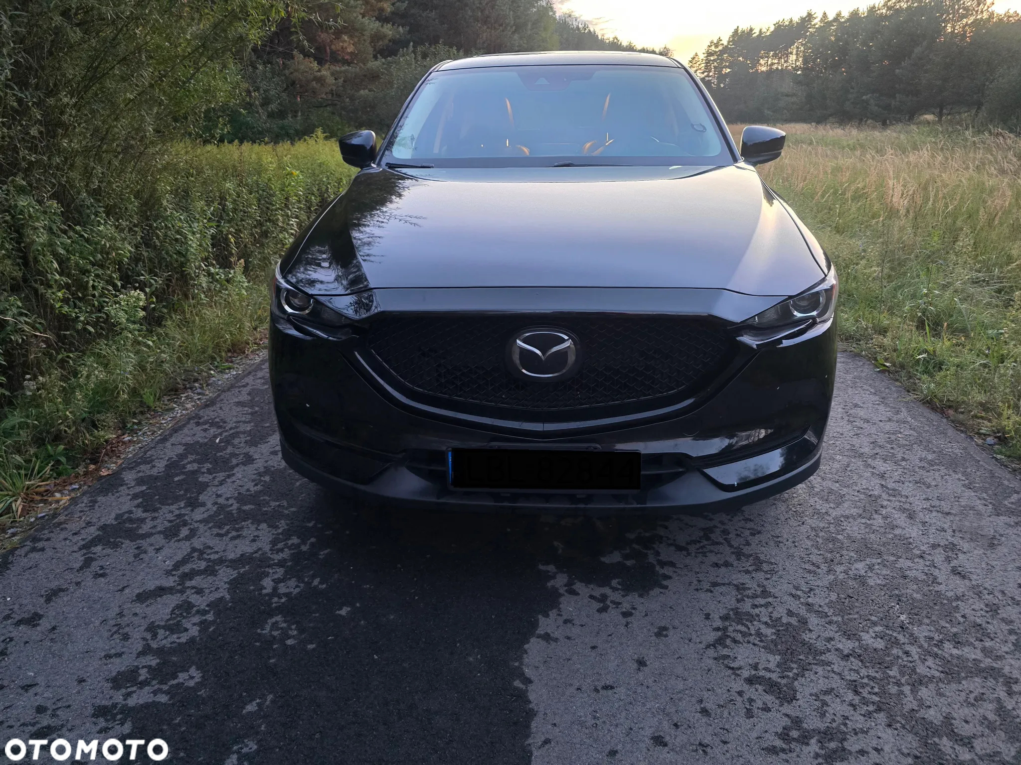Mazda CX-5 - 5