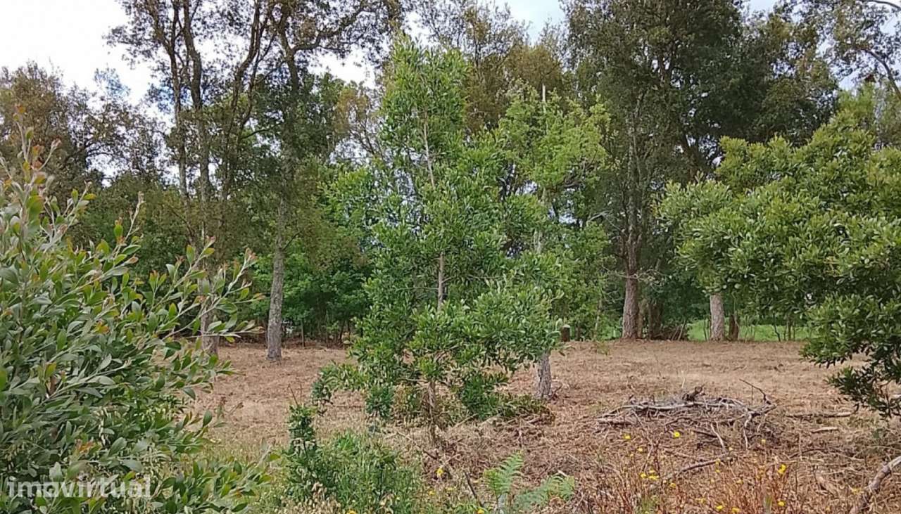 Terreno de construção para venda, Argela, Caminha - Grande imagem: 2/5