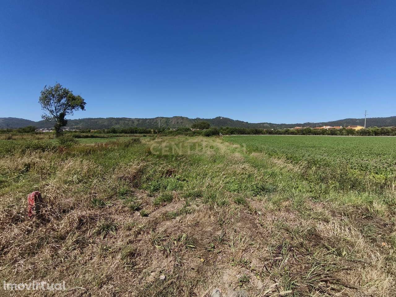 Terreno com 423m2 nas Marinhas com Excelente Localização - Grande imagem: 2/11