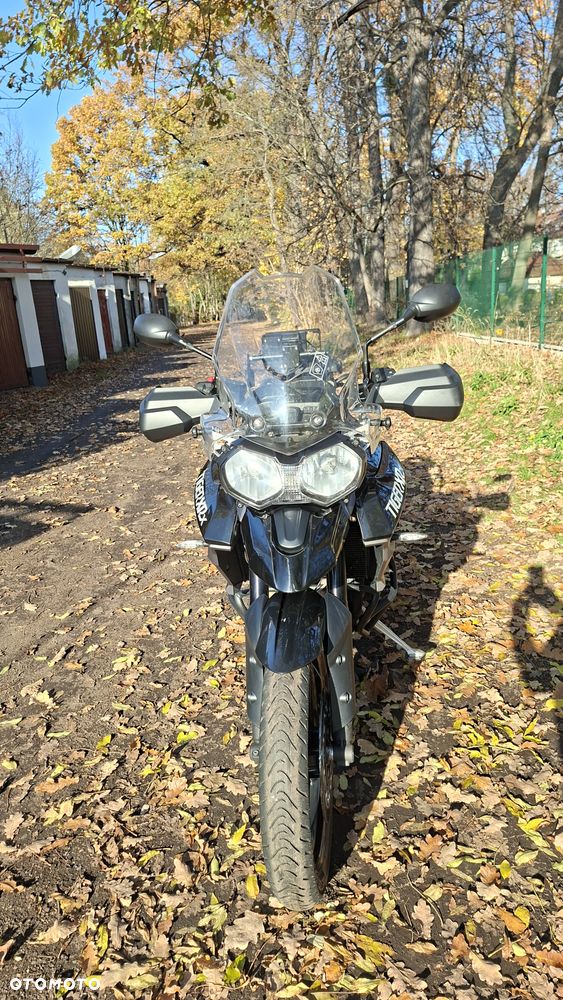 Triumph Tiger - 2