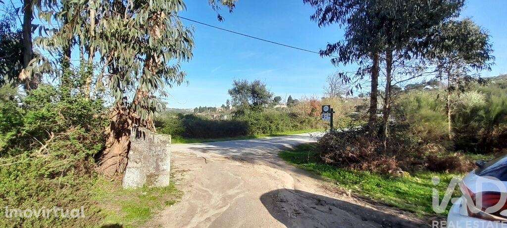 Terreno em Oliveira do Hospital e São Paio de Gramaços de 24500,00 m2 - Grande imagem: 3/8