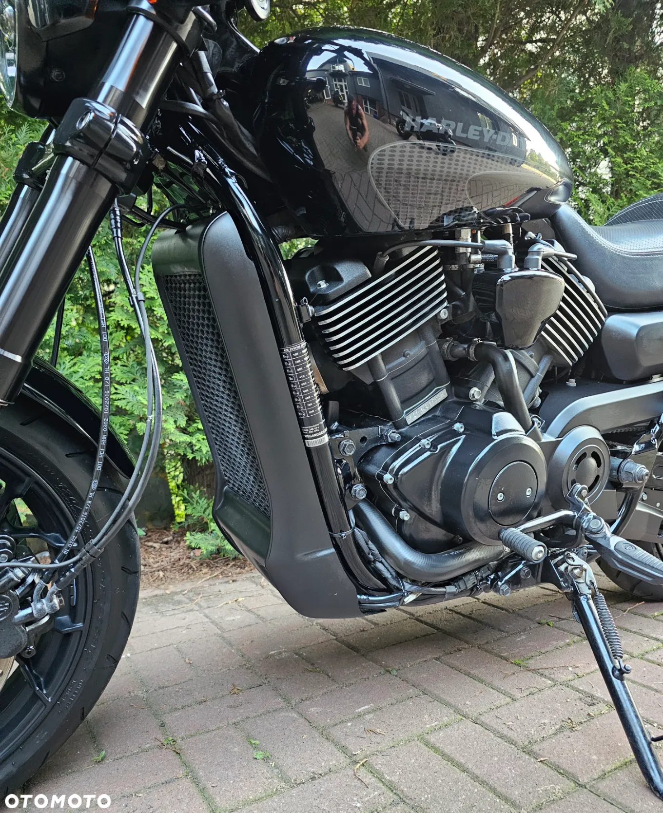 Harley-Davidson Street Rod XG 750A - 17